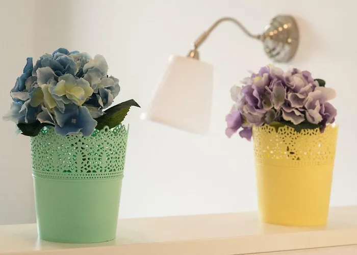 Svijet Mora דירה